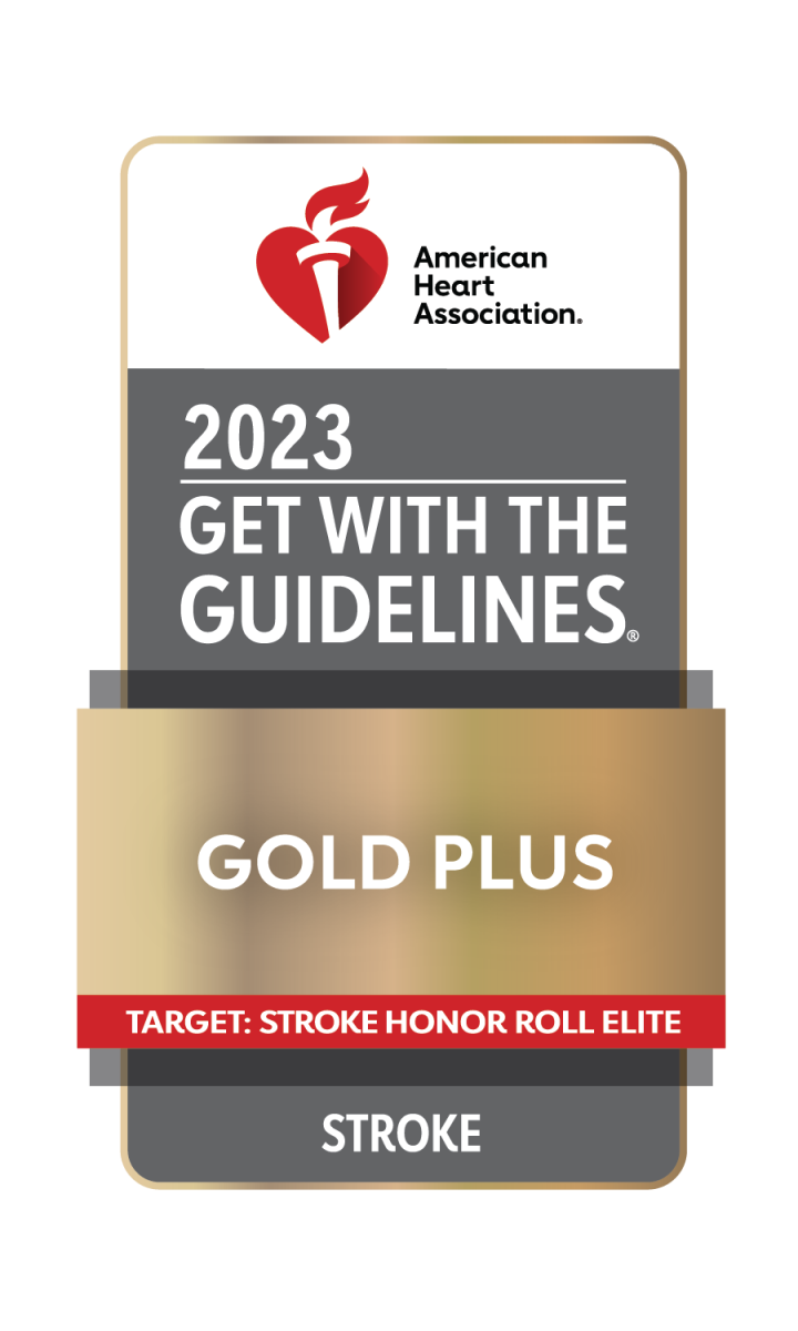 Get with the Guidelines 2023 Stroke