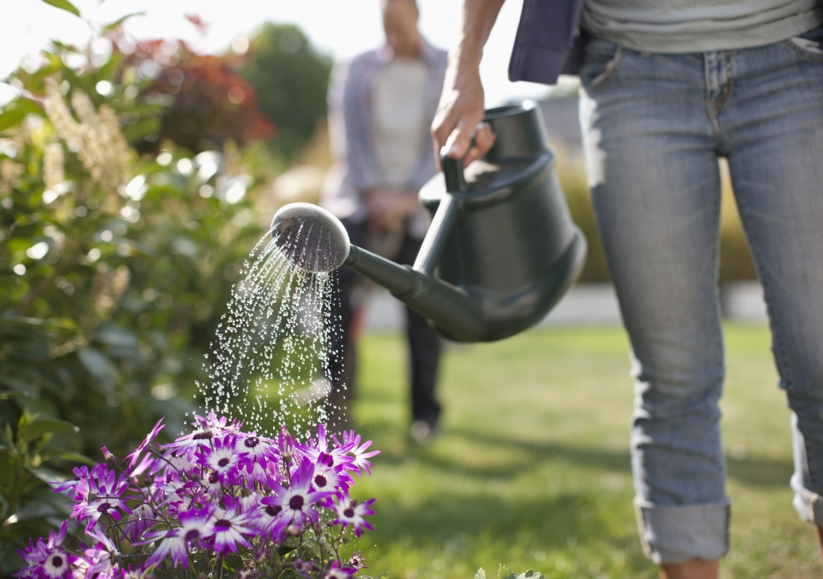 woman watering flowers