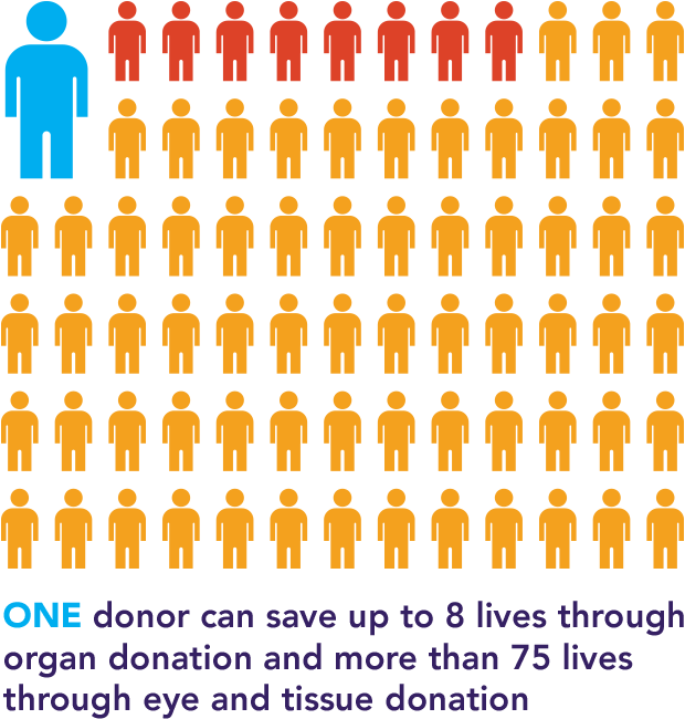 One donor can save up to eight lives through organ donation and more than 75 lives through eye and tissue donation.