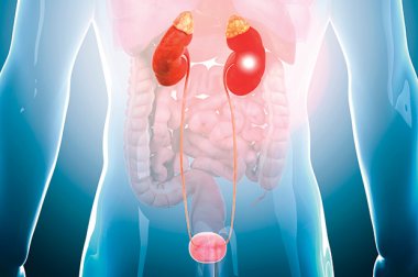 Ask the Doctor: Are kidney stones causing you pain? Aiken Health News winter 2019