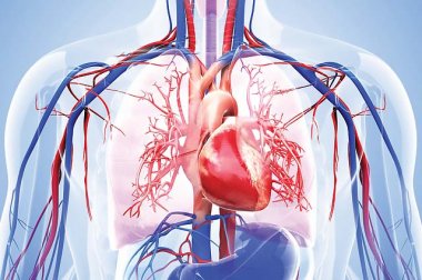 Not All Heart Attacks are Sudden and Severe Not All Heart Attacks are Sudden and Severe