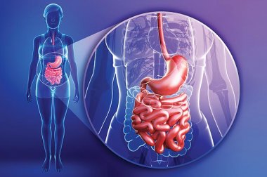 Diagnóstico y tratamiento del cáncer de páncreas